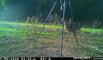 001 Farr Rd, Bolton, MS 39041