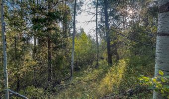 Tbd ALPINE MEADOW LOOP 14, Alpine, WY 83128