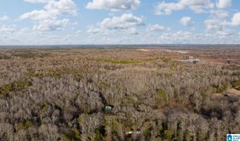 BRUSH CREEK DRIVE lot 0, Akron, AL 35441