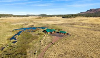 216 CR 2311, Alpine, AZ 85920
