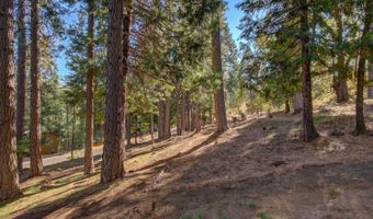 2767 Quartz Dr, Arnold, CA 95223