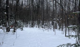 9606 MUNGER Rd, Afton, MI 49705