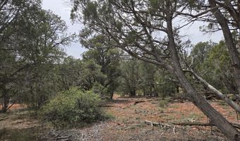 61 Raney Rd, Ash Fork, AZ 86320