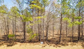 Tract B Grover Wilson Road, Blythewood, SC 29016