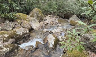 62 Acres Buckeye Ridge Rd, Beech Mountain, NC 28604