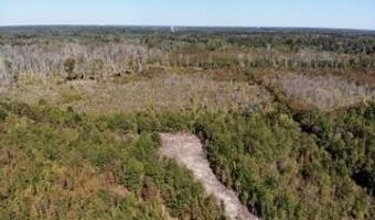 Broxton Bridge Road, Bamberg, SC 29003