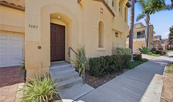 3603 Point Jetty, Carlsbad, CA 92010