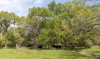 9885 County Road 270, Hico, TX 76457
