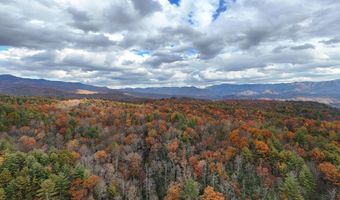 135 49ac Webb Creek Rd, Andrews, NC 28901