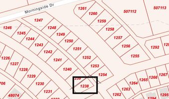 0 NE Crescent Dr, Andrews, TX 79714