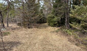5280 Cathro Rd, Alpena, MI 49707