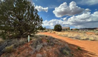 1131 E RED SAGE Dr, Apple Valley, UT 84737