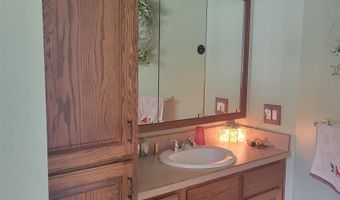 6249 Wolverine Trl, Alger, MI 48610