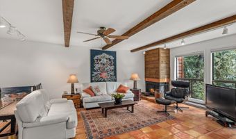 824 E Hopkins Ave 102 and 202, Aspen, CO 81611