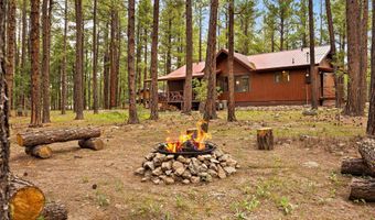 4 County Road 2089, Alpine, AZ 85920