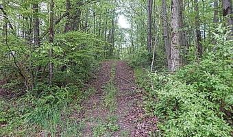 15252 27 Mile Rd, Albion, MI 49224