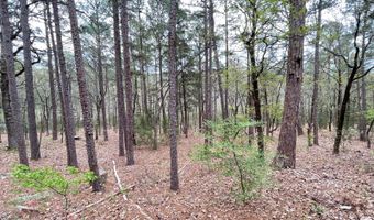 175626 Boulder Rd, Antlers, OK 74523