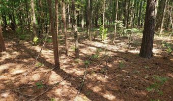 Wilkins Road, Alton, VA 24520