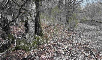 36 Highway 354, Ash Flat, AR 72513
