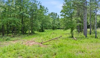 11905 E Old Bellville Rd, Belleville, AR 72824