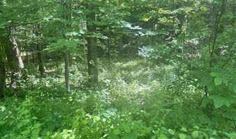 Mountain Road lot Map 25 Block A Lot 2.43 Lot Size 2.11, Chesterfield, NH 03466