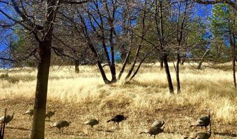 Victoria Drive 18, Alpine, CA 91901