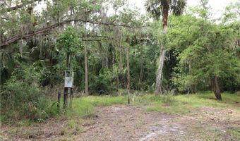 2998 SW Armadillo Trl, Arcadia, FL 34266