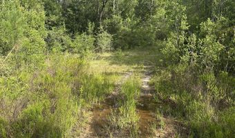 80 AC Old River Rd, Baker, FL 32531