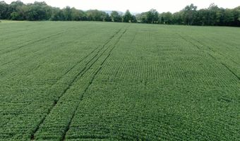 1406 Twp Rd 1353, Ashland, OH 44805