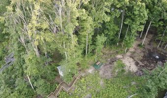 3206 HIDDEN RIDGE Rd, Alanson, MI 49706