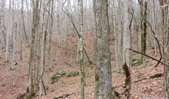191 Bens Bnd, Bakersville, NC 28705