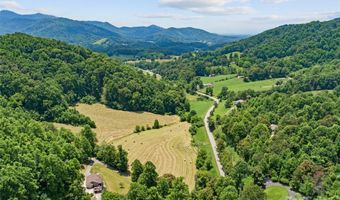 189 Poverty Branch Rd, Barnardsville, NC 28709