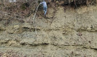 4775 S 50th Rd, Aldrich, MO 65601