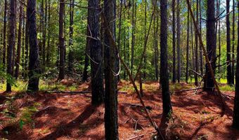 Arthur Drive, Brookhaven, MS 39601