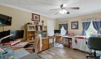 3210 50th St, Bell, FL 32619