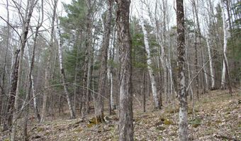 Upper Meehan Road, Bristol, VT 05443
