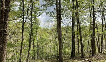 State Hwy N Tract G, Ava, MO 65608