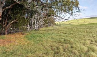 23 ALULIKE Rd, Kamuela, HI 96743