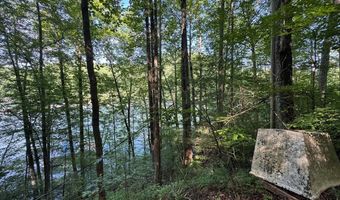 Fontana Forest 5, Almond, NC 28702