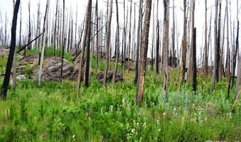 2025 Granite Rd, Bellvue, CO 80512