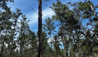 5-6 Laird Lane FM 357, Apple Springs, TX 75926