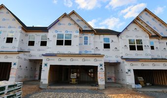 3118 Cathedral Comb Dr, Apex, NC 27502
