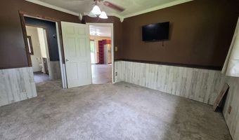 7028 Barney Rd, Alanson, MI 49706