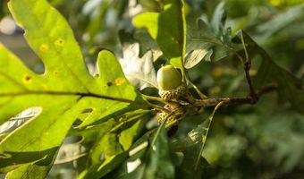 31586 R Ave, Adel, IA 50003