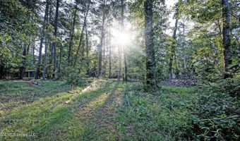 331 Lake Harbor Rd, Brandon, MS 39047