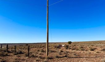 N7009 40 Acres, Chambers, AZ 86502