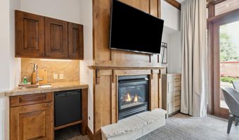 415 E Dean St Unit 1 Week 29, Aspen, CO 81611