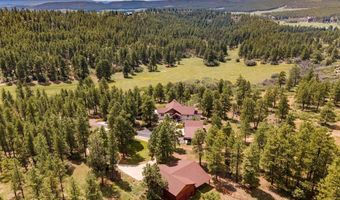 1005 Beaver Creek Ranch Dr, Bayfield, CO 81122