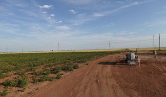 FM 597, Abernathy, TX 79311