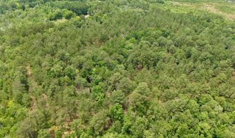 Fox Paw Court, Branchville, SC 29432